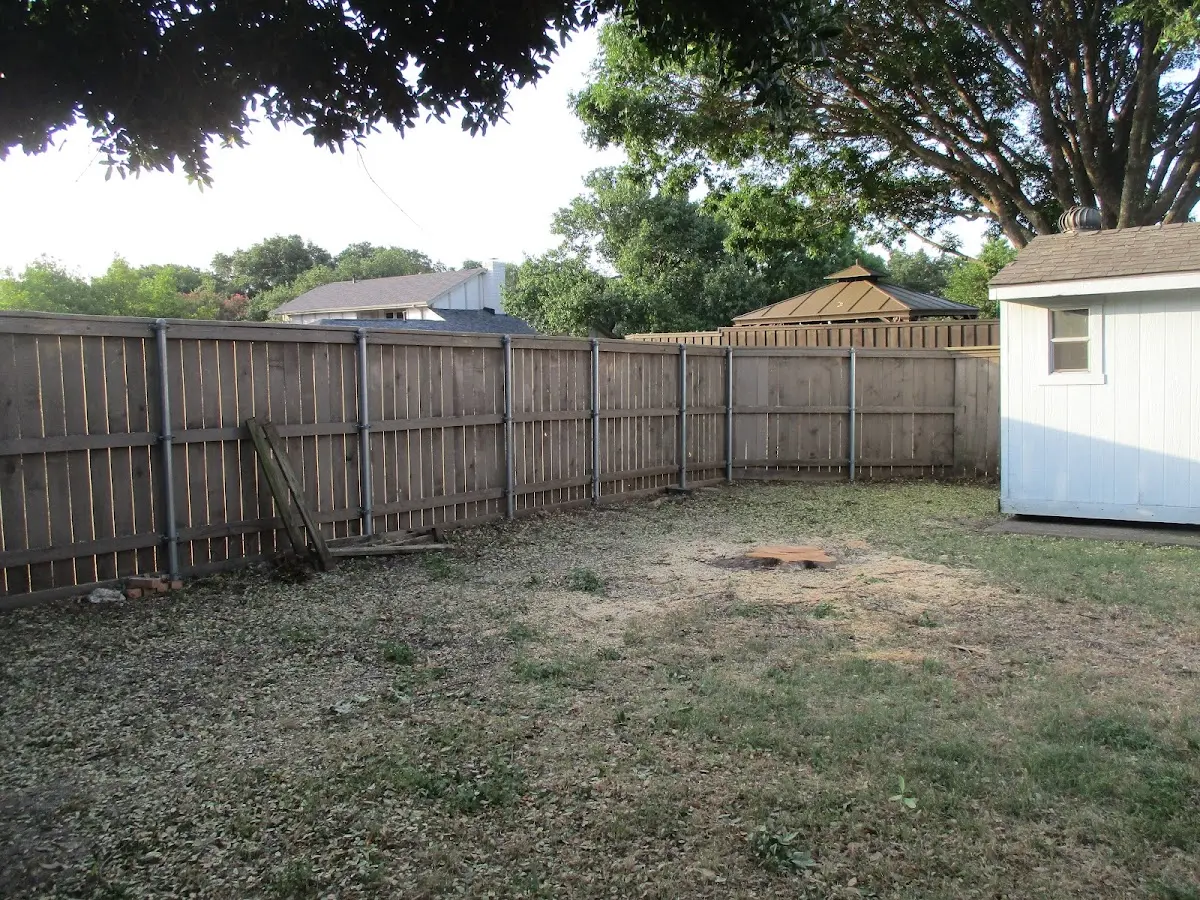 Cleared yard after professional tree removal in Corunna